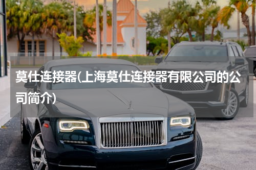 莫仕连接器(上海莫仕连接器有限公司的公司简介)