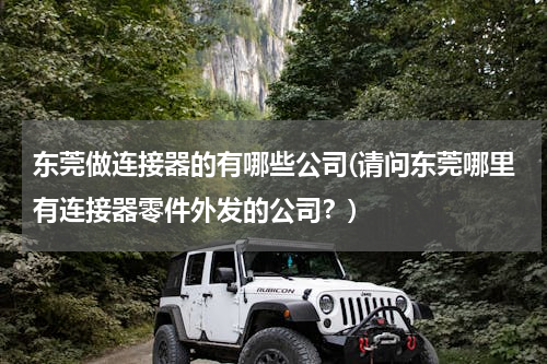 东莞做连接器的有哪些公司(请问东莞哪里有连接器零件外发的公司？)