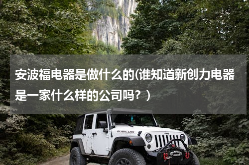 安波福电器是做什么的(谁知道新创力电器是一家什么样的公司吗？)